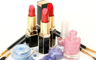 世紀佳人化妝品連鎖代理加盟費用及進出口代理服務(wù)解析